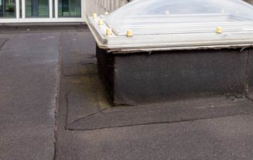 disadvantages of Nine Ashes flat roofs