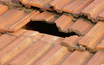 roof repair Nine Ashes, Essex